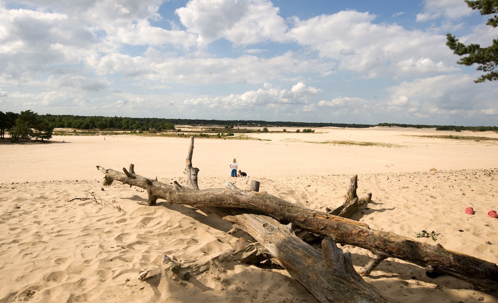 Holidaypark Duinhoeve
