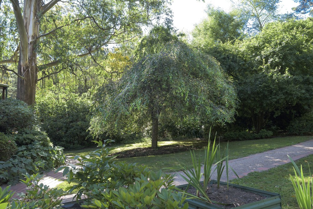 Botanica Retreat - Village Spa & Stay