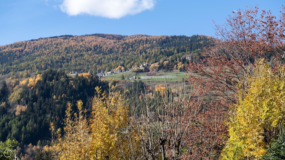 Photo 45