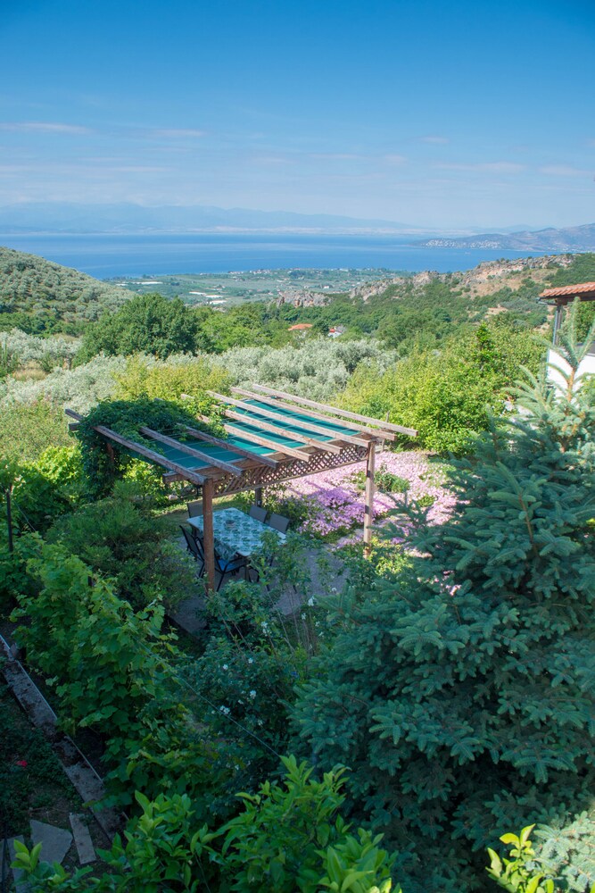 Outdoor Space