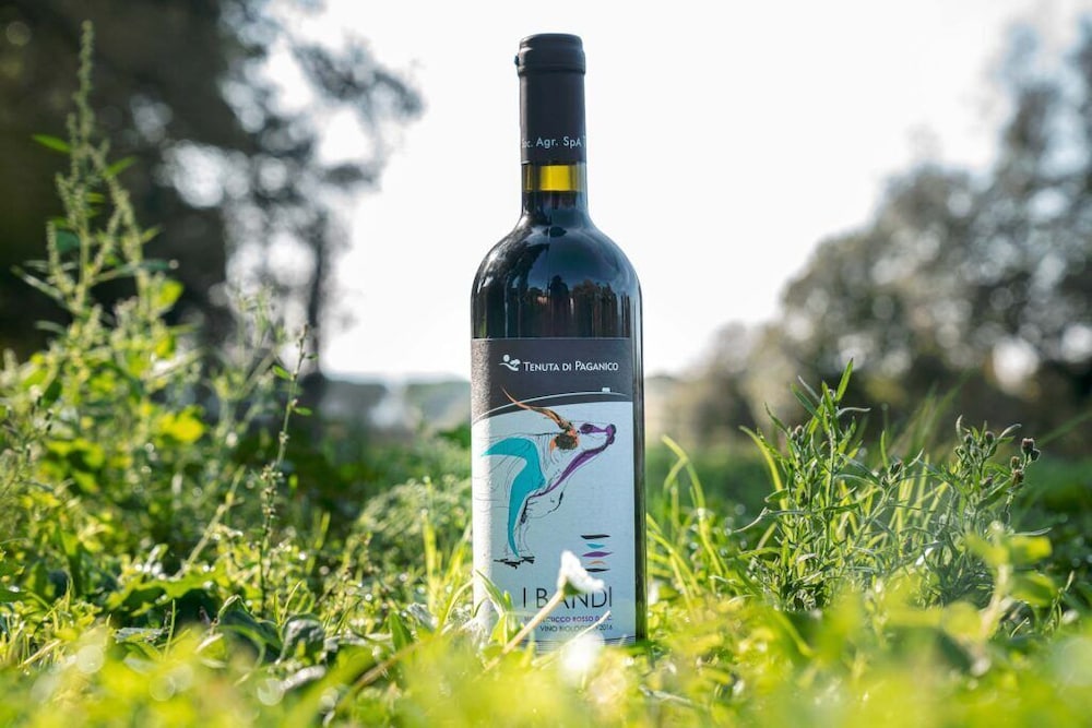 B&B Tenuta di Paganico - Wine & Food