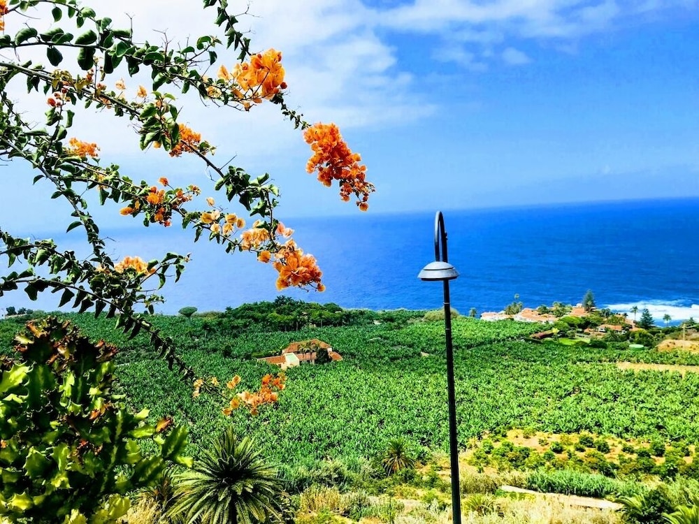 Residencia San Pedro view 5
