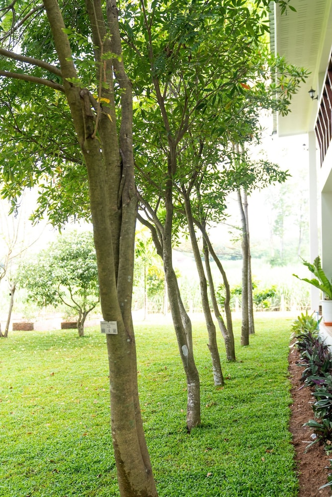 Green Me Organic Farm Khao Yai