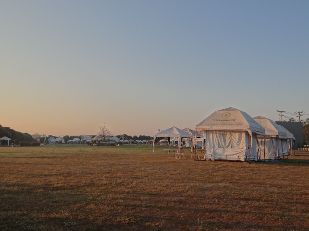 The Camping Field