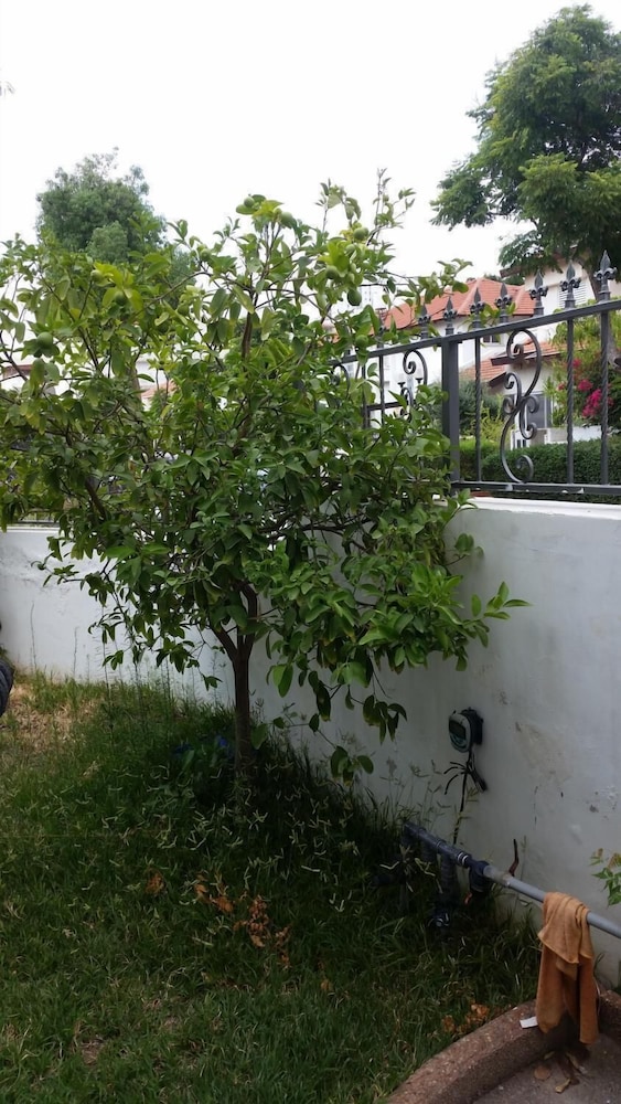 Einav Holiday House