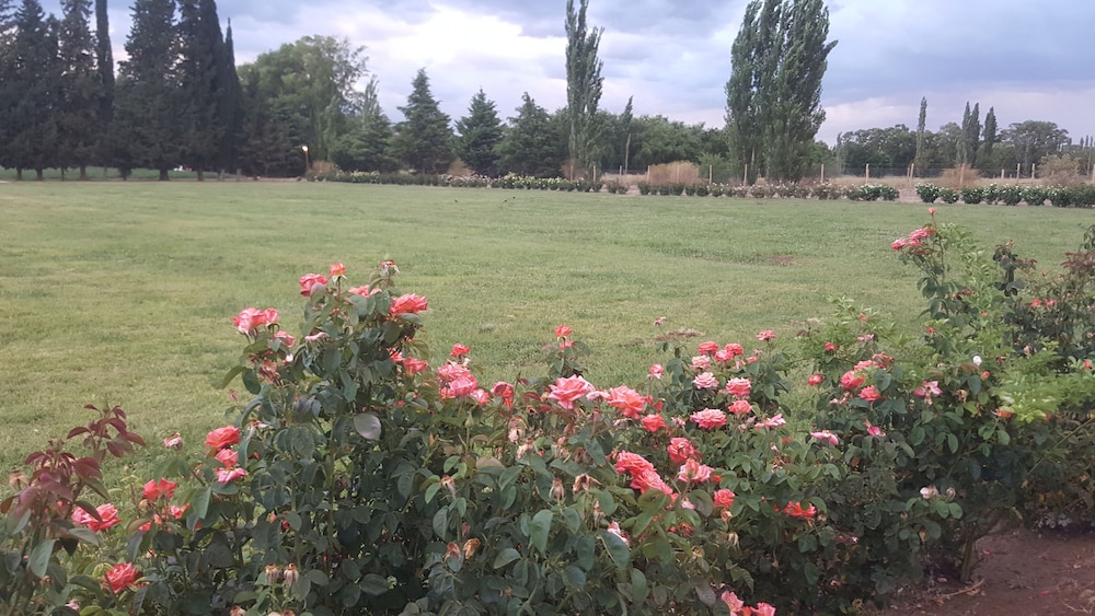 Complejo Río los Patos - Cabañas y Hostel