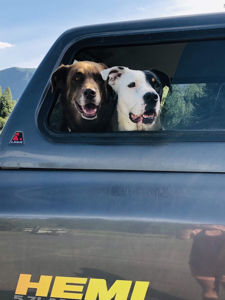 Clark Fork Lodge - Property Image 10