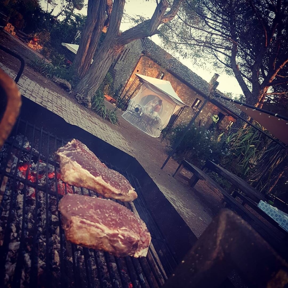 Agriturismo Il Poderino photo 3