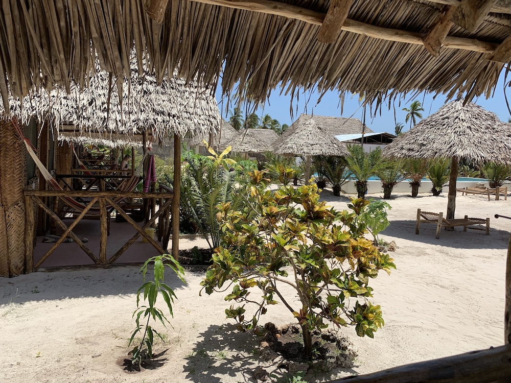 New Jambo Bungalows - Hostel