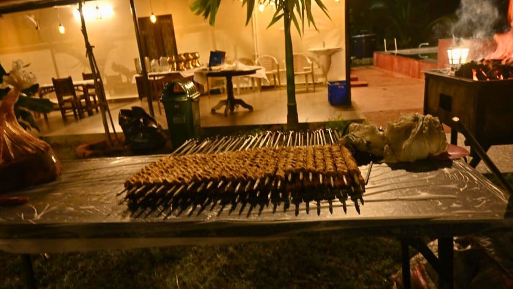JUNGLE FARMS BY MAARK INN