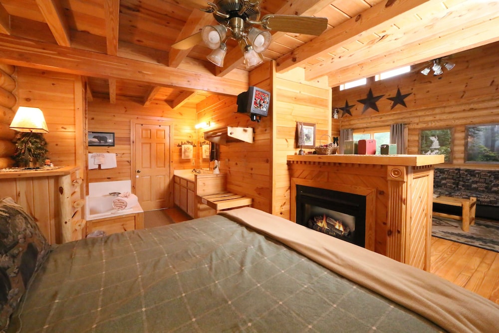 Smoky Cascades - One Bedroom Cabin view 4