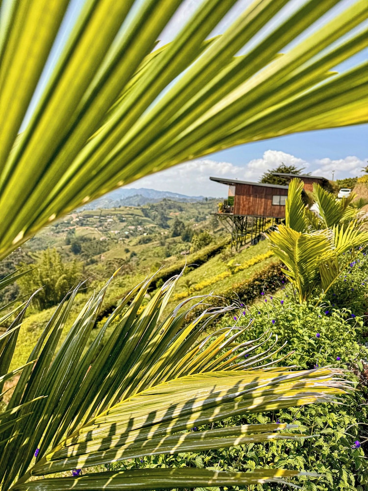San Simon Glamping