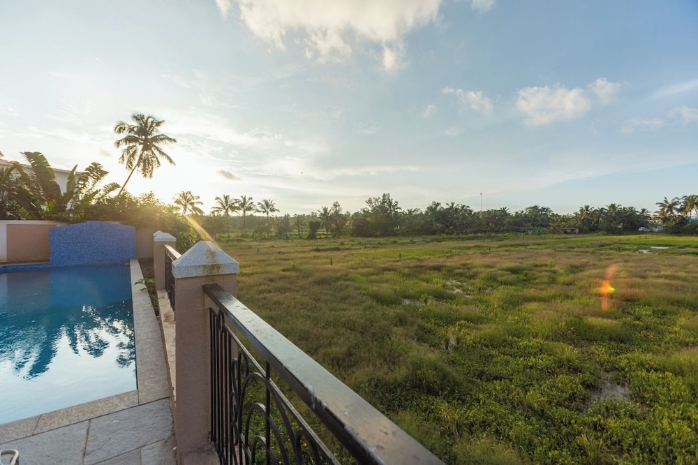 Palm Retreat 1BHK Pool & Field Views