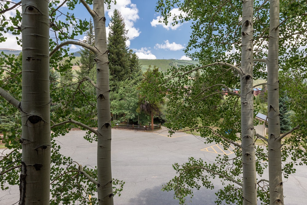 Chateaux Dumont #2701 by Summit County Mountain Retreats view 2