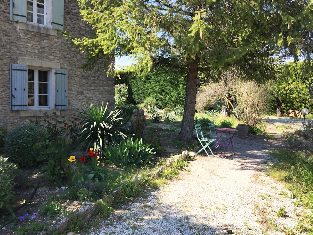 Zocalo Ranch