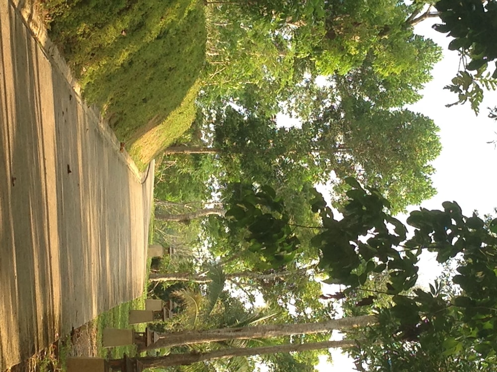 De Chom Villa
