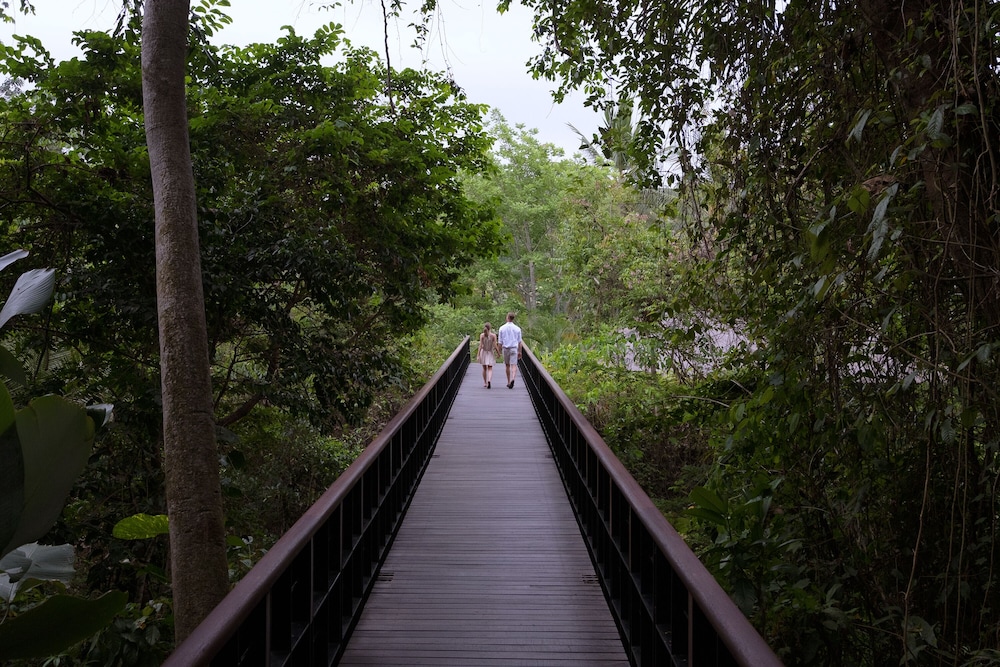 Photo 150