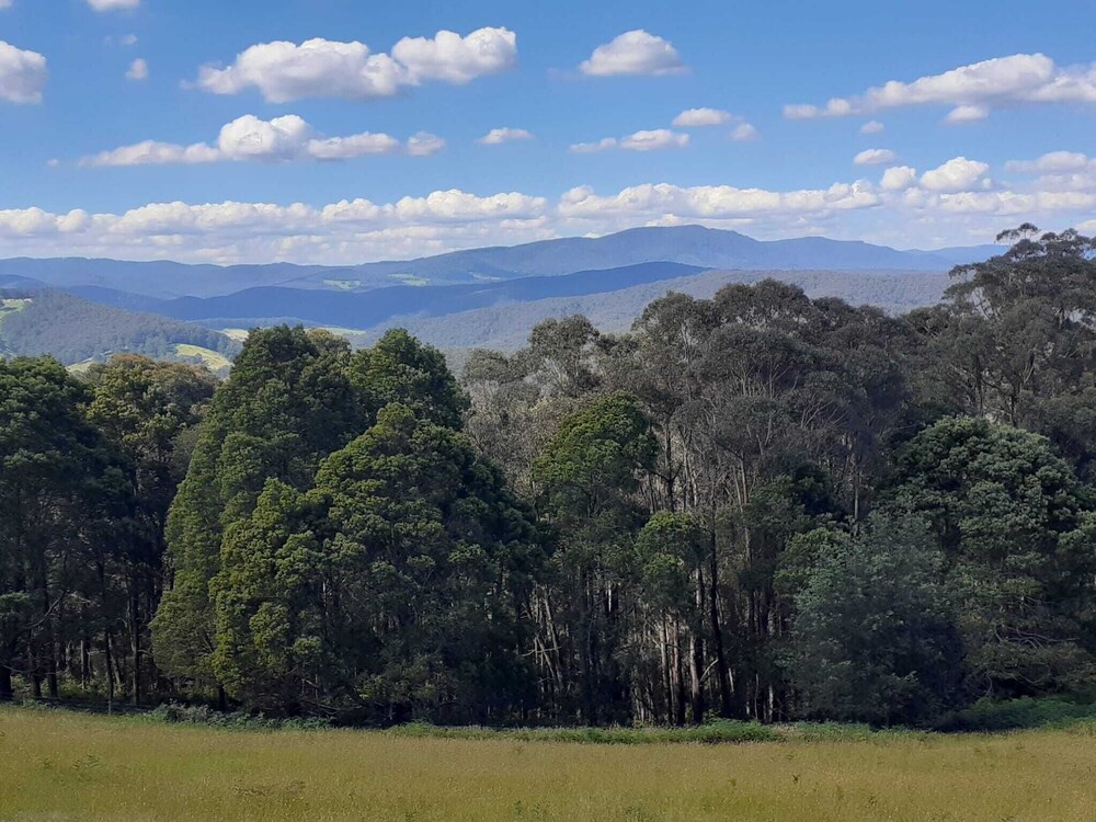 Near and Far Nature Stay