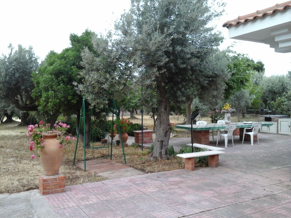 Photo 19