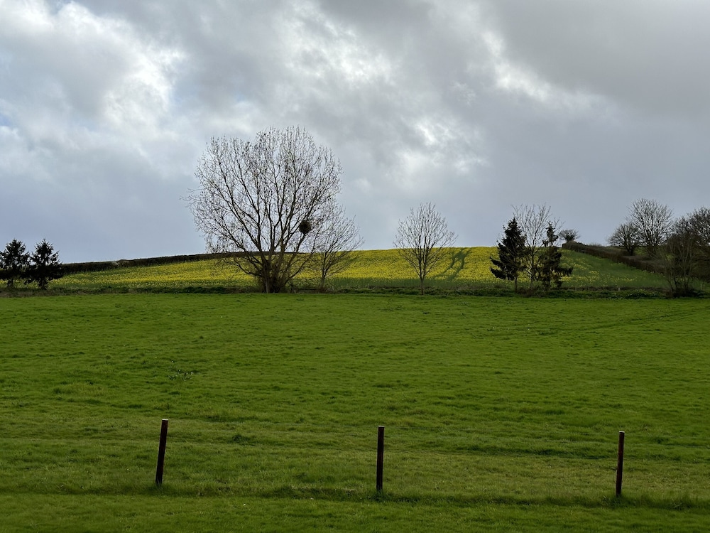 Springwell Lodge