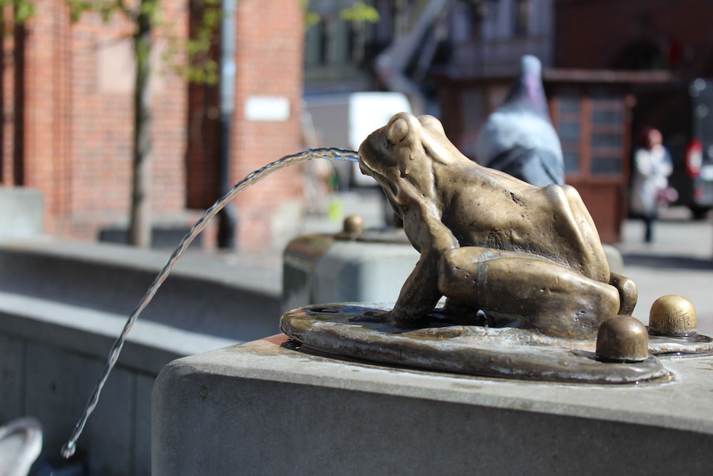 Photo 29