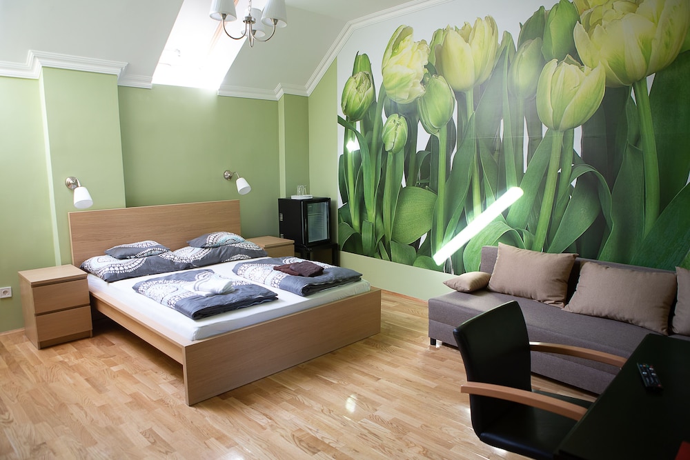 Hunyadi Panzió- Apartmanház view 4