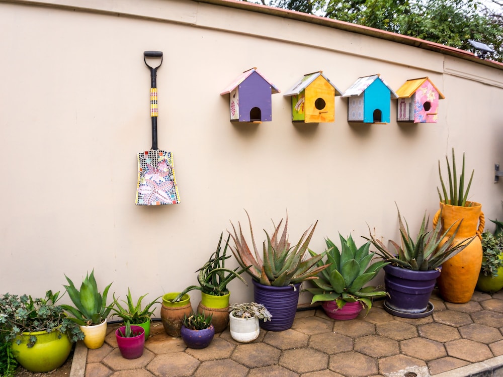 Mackaya Bella Guest House