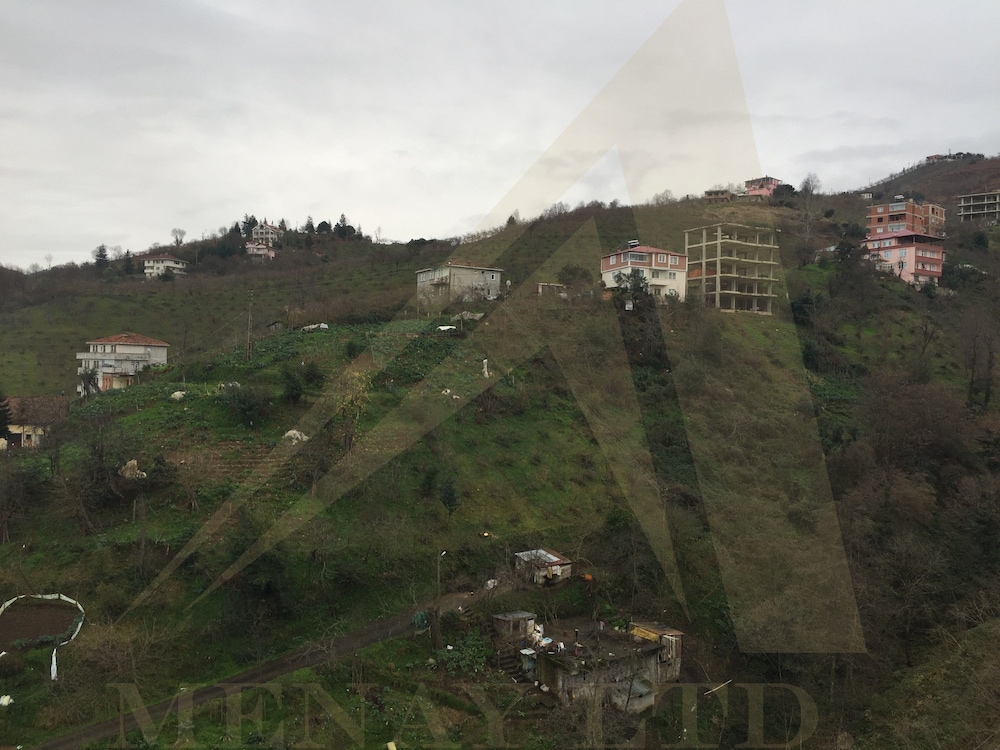Menay Properties - 3