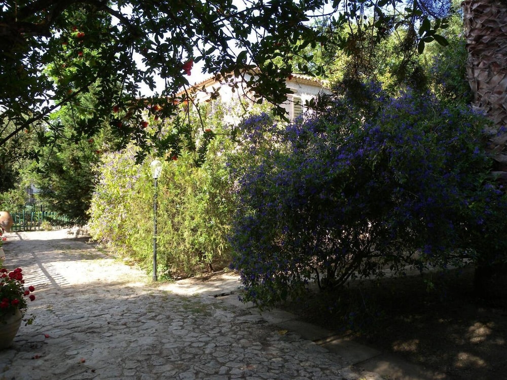 Photo 35