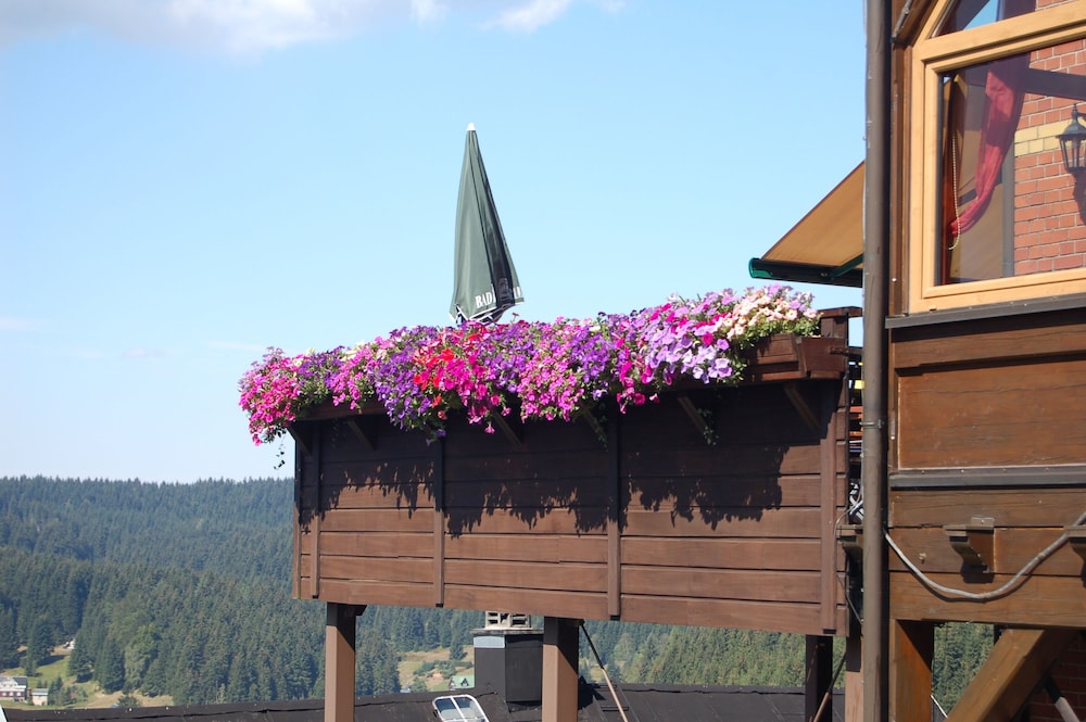 Berggasthaus und Pension Schöne Aussicht view 3