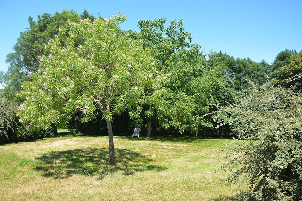 Gites Chez Annick et Patrick