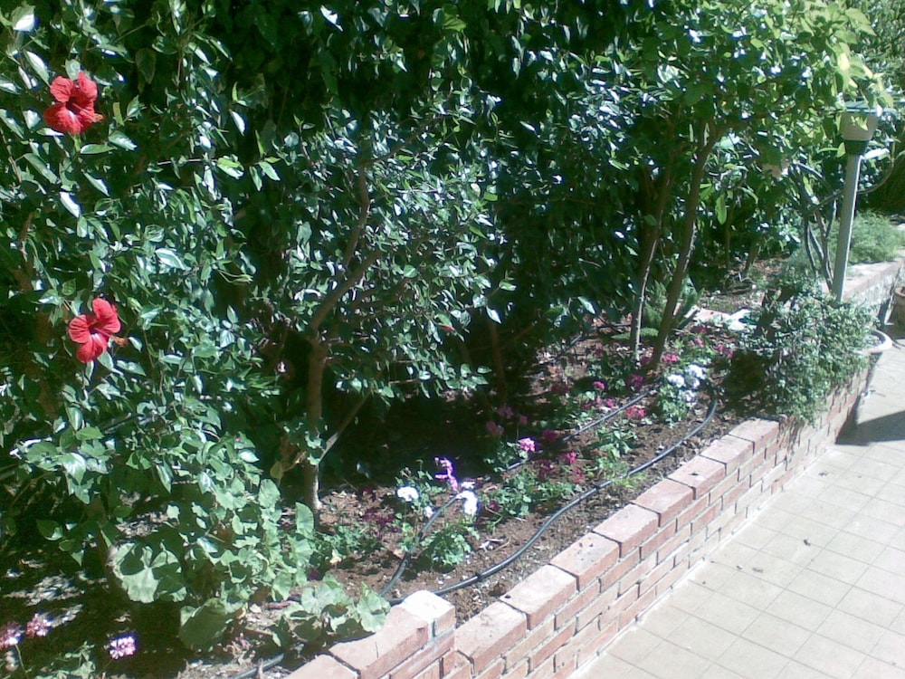 Photo 61