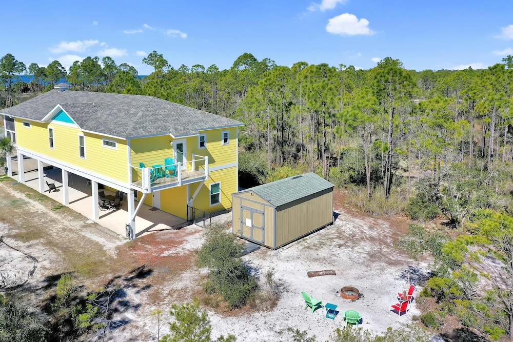 Dolphin Daze, fotografía 4