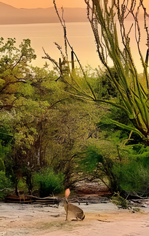 Baja Desconocida Ranch Seaview