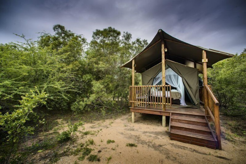 Shalati Kruger Lodge view 5