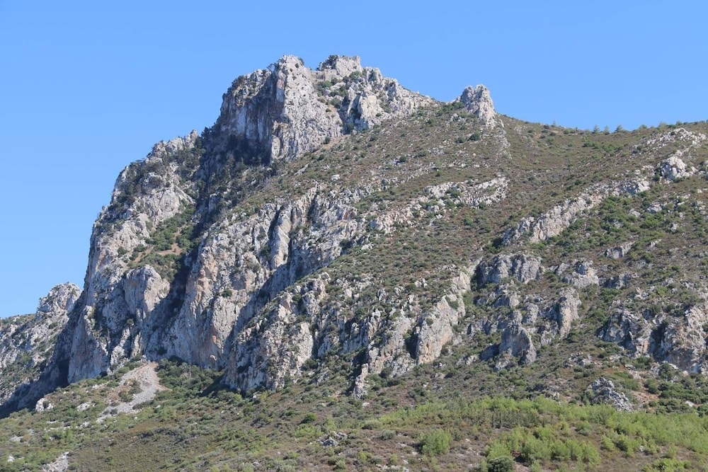 Photo 21