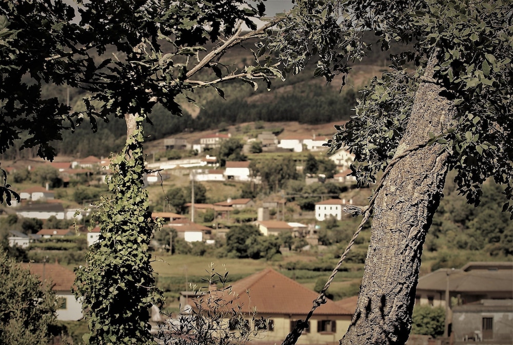 Quintinha D' Arga