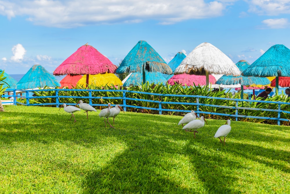 The Grand Oasis Cancun - All Inclusive