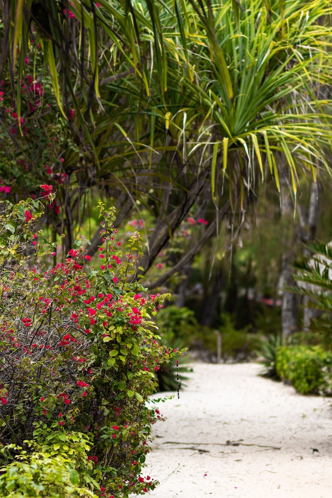 Hakuna Majiwe Beach Lodge