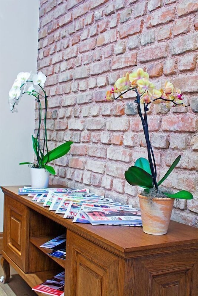 Celine Otel - Image 43