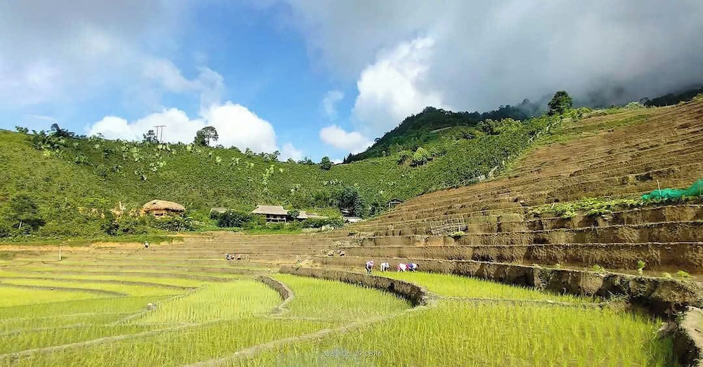 Ban Lien Pine Homestay Lao Cai
