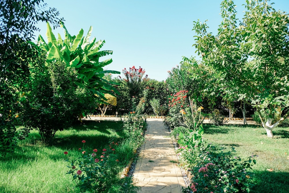 Photo 43