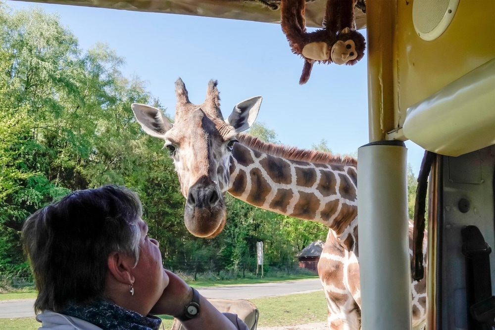 Luxuszelt im Serengeti Park