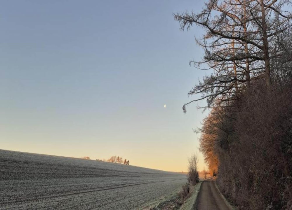 Harz-kurzurlaub in Lonau