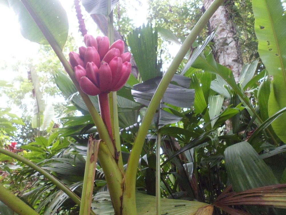 Hotel Valle Azul