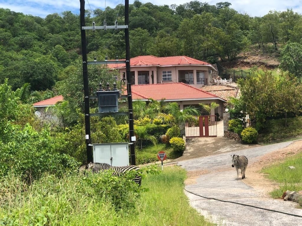 Photo 13