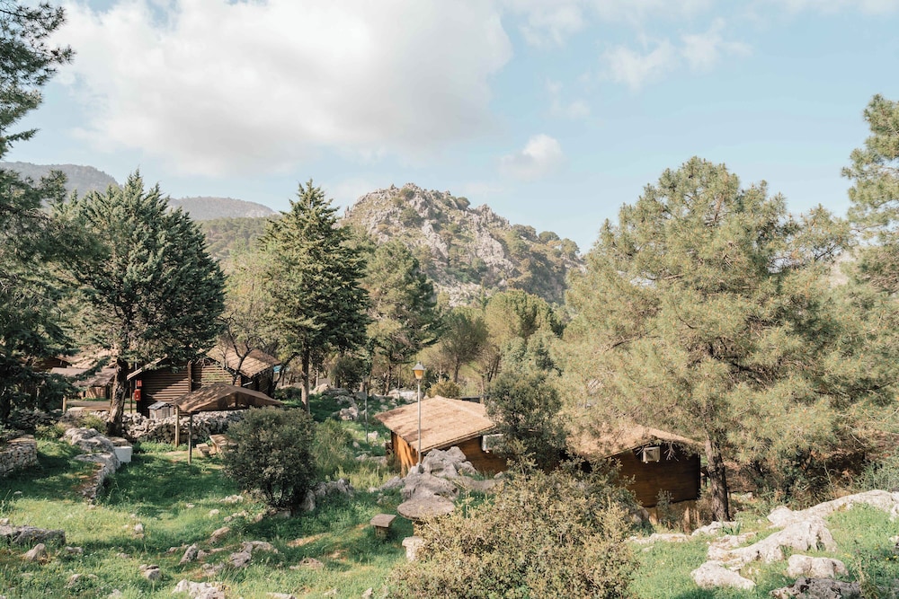 Camping Tajo Rodillo