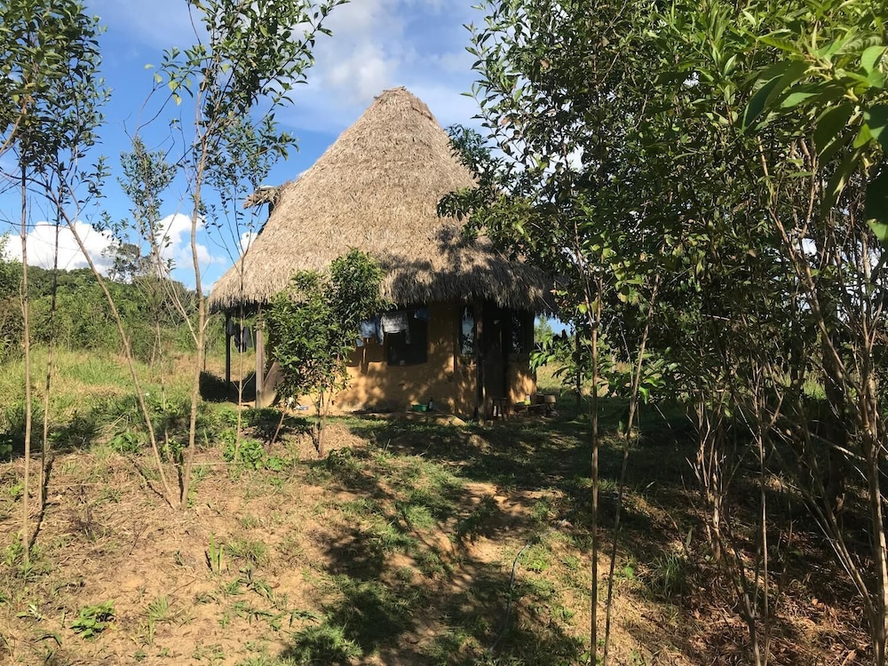 Ayahuaska
