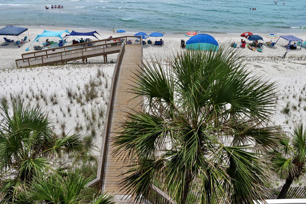 Barrier Dunes 156 - 11 Sand Dollar Dreams