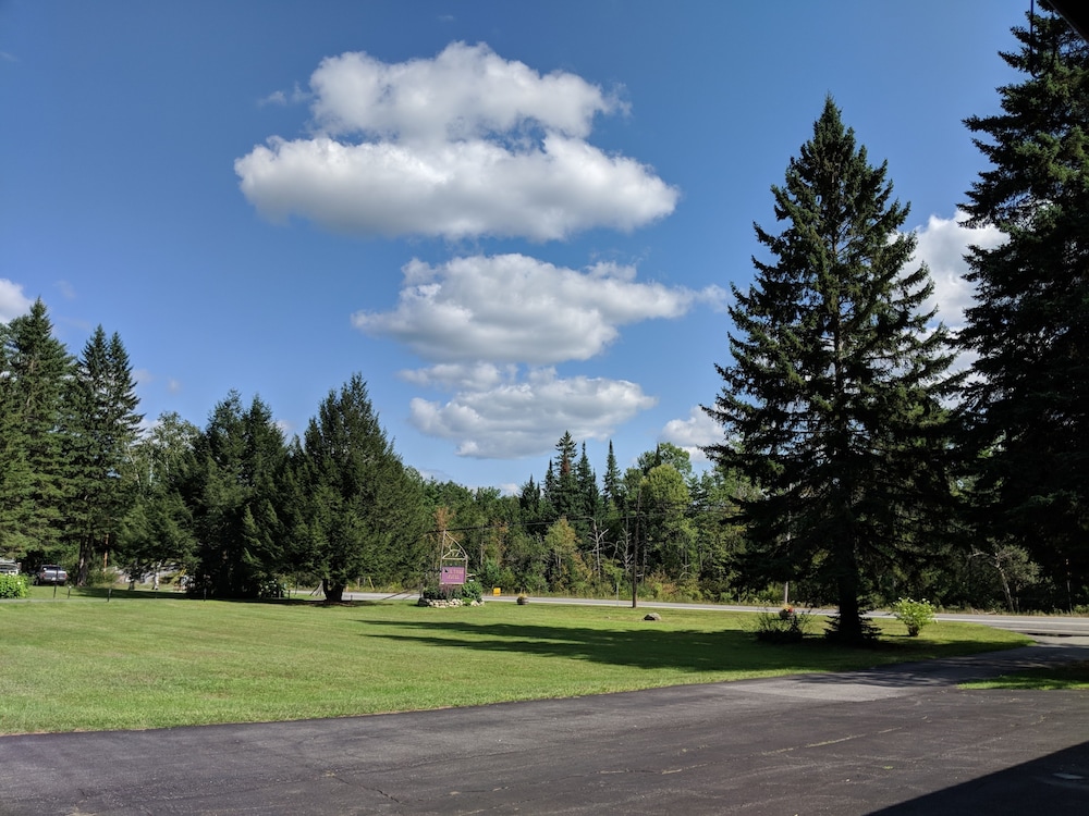 Pine Tree Motel & Cabins